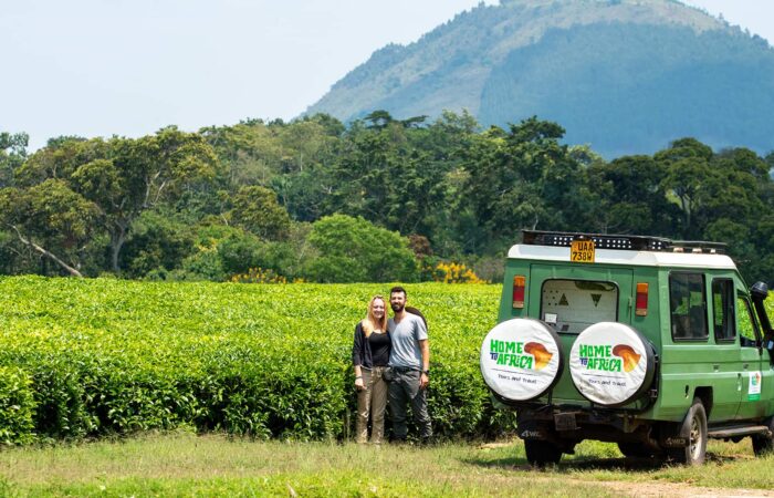 best african safari tour packages