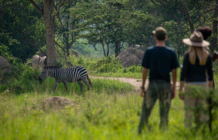 Africa safari package holidays