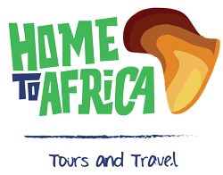 Home To Africa Tours and Travel