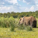 private tour south africa