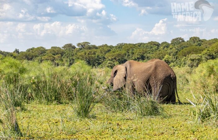 private tour south africa